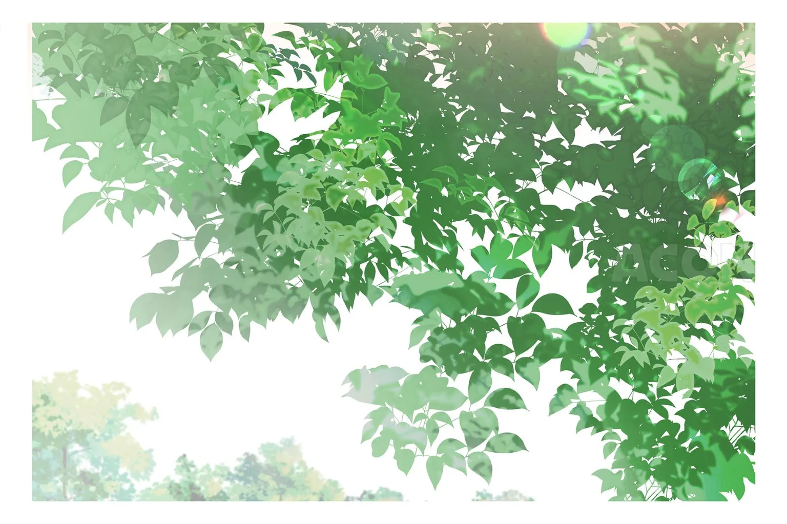 木の葉ブラシ(10種)