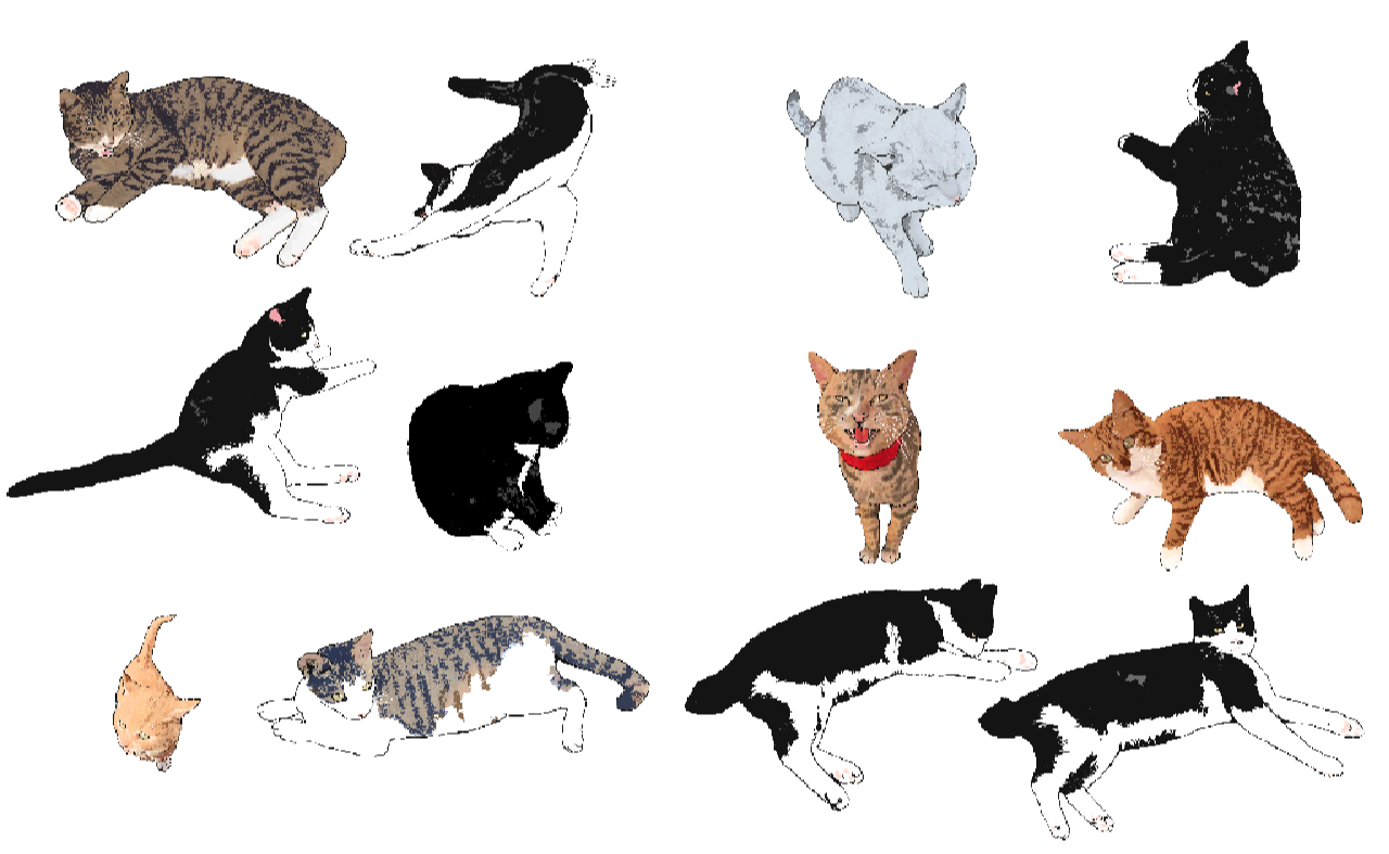 正面からちらっと見た猫のエクストラ25種 2番
