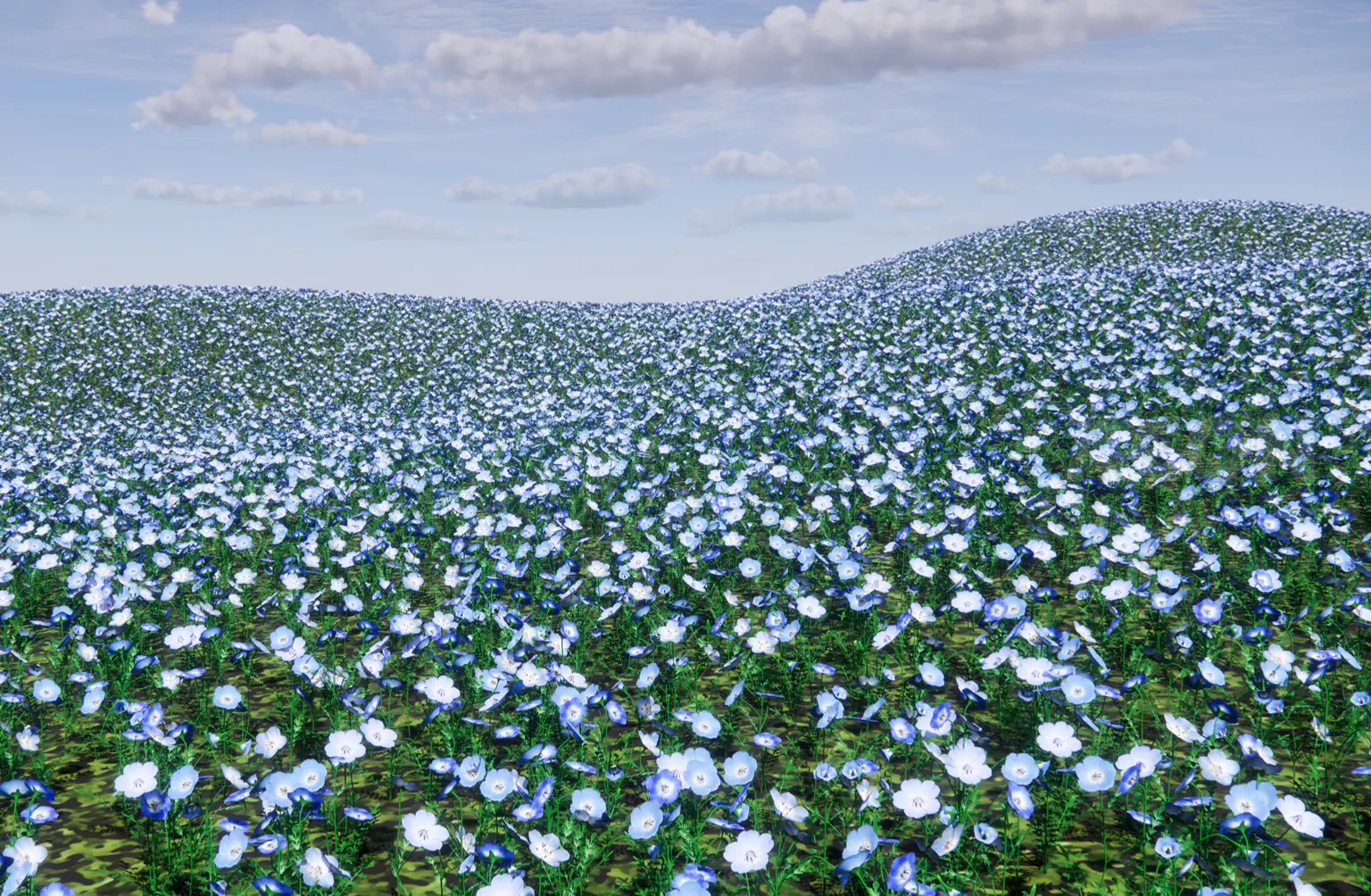 花と木シリーズ - ネモフィラ花園(Nemophila flower garden)