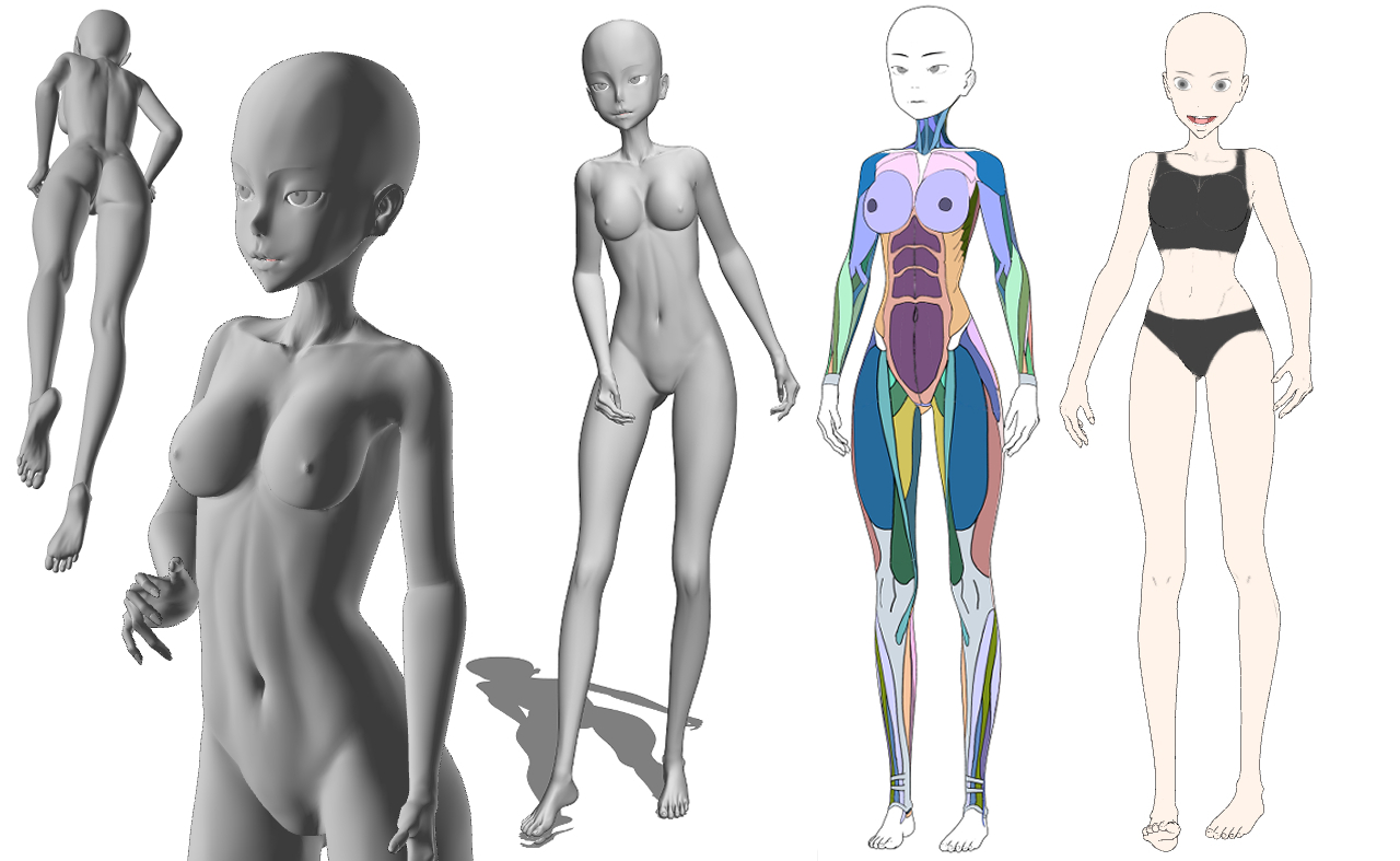 Anime Female Body Structure
