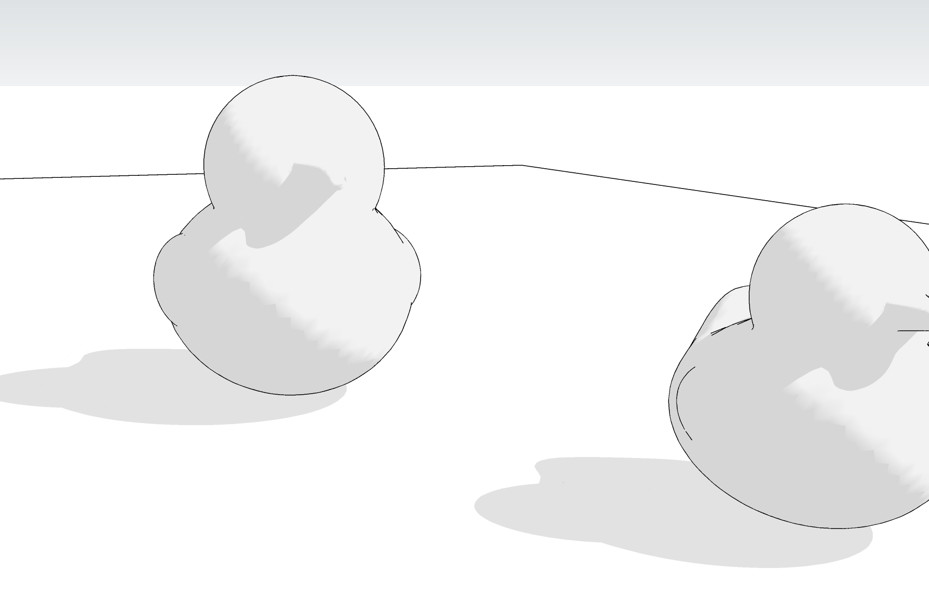 Snow Duck