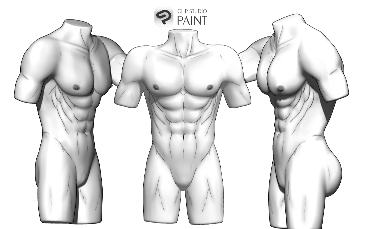 3D男性の胴と腰のセット