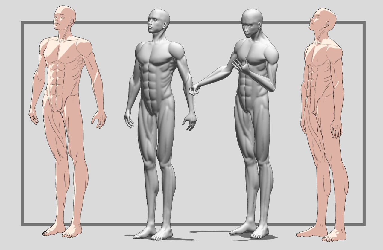 Male Body Reference