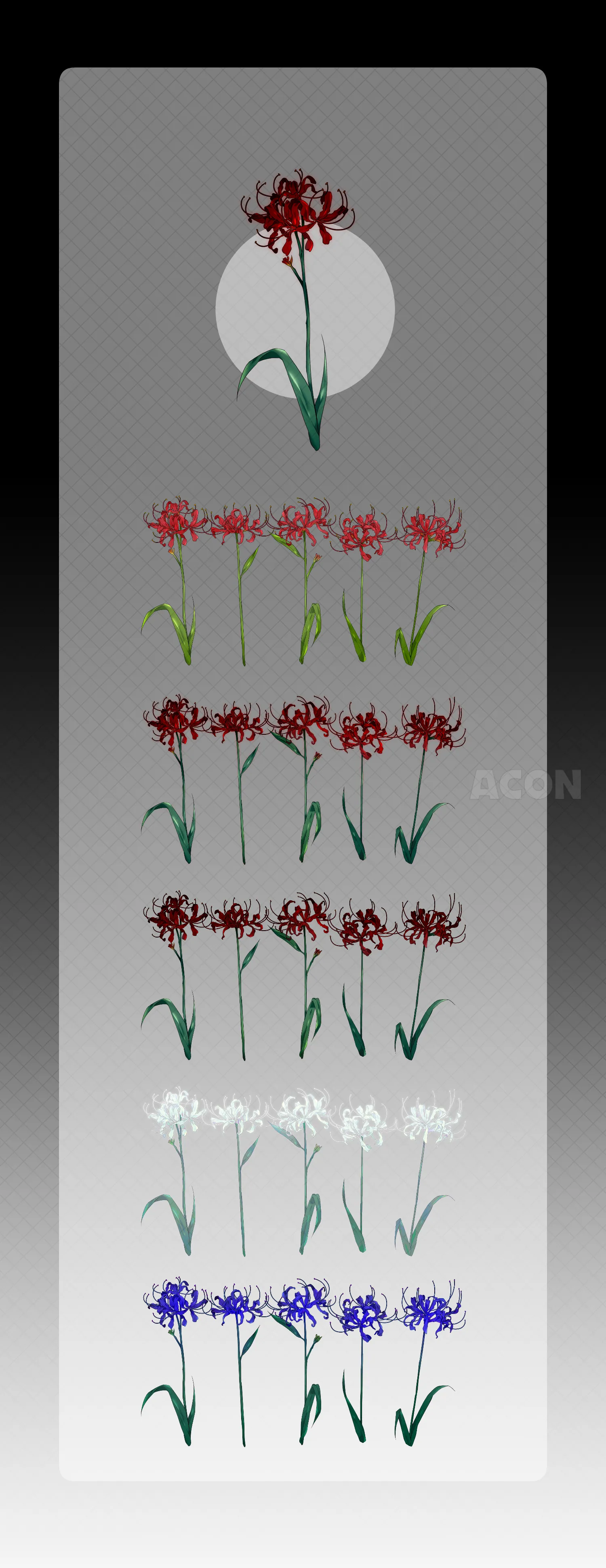 Dark spider lily:暗い雰囲気の彼岸花