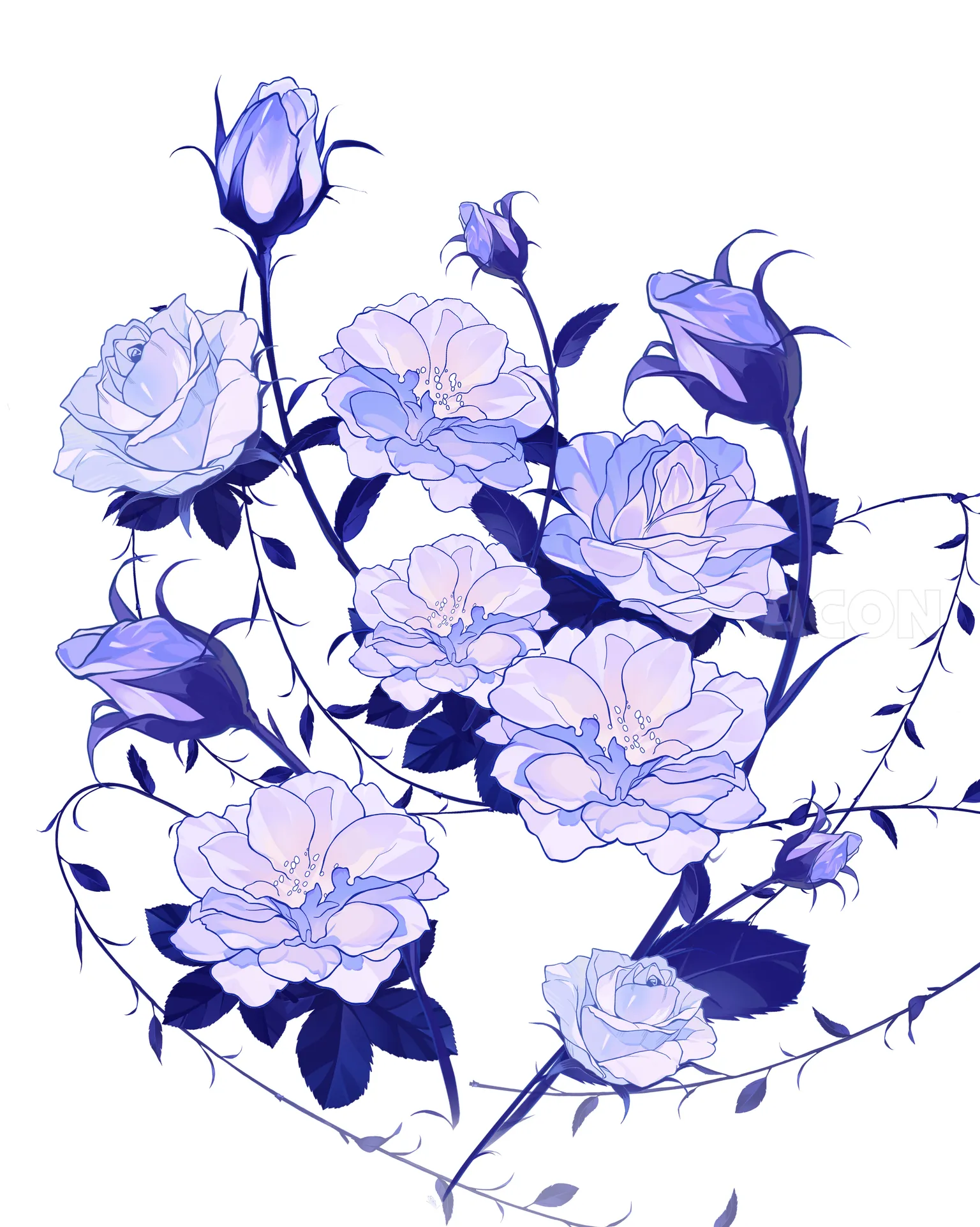 紫花 ブラシ セット