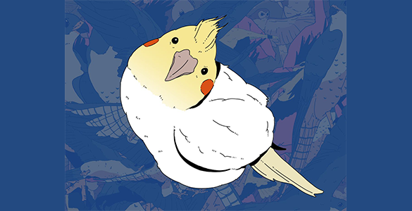 33 Bird Brushes