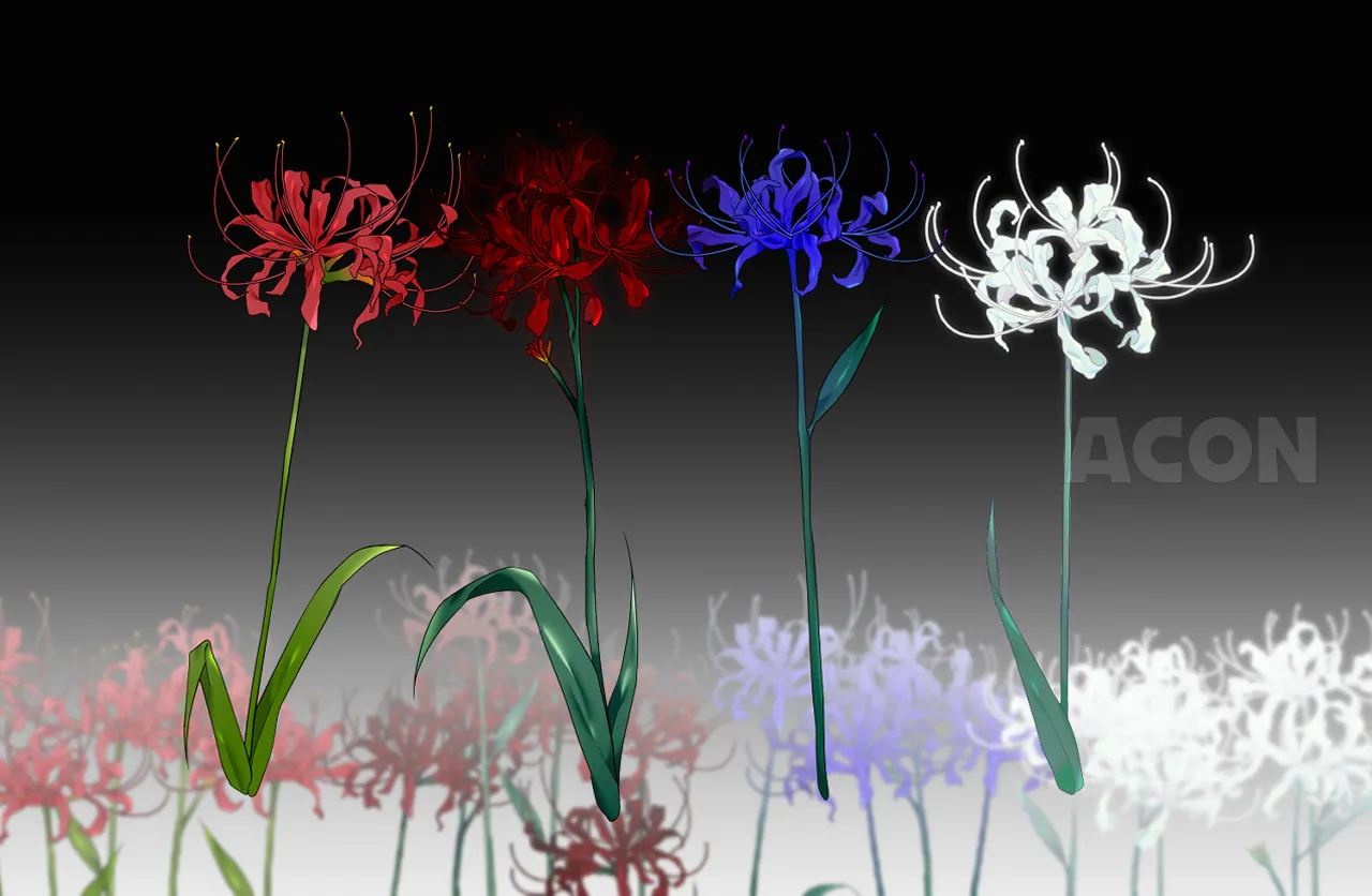 Dark spider lily:暗い雰囲気の彼岸花