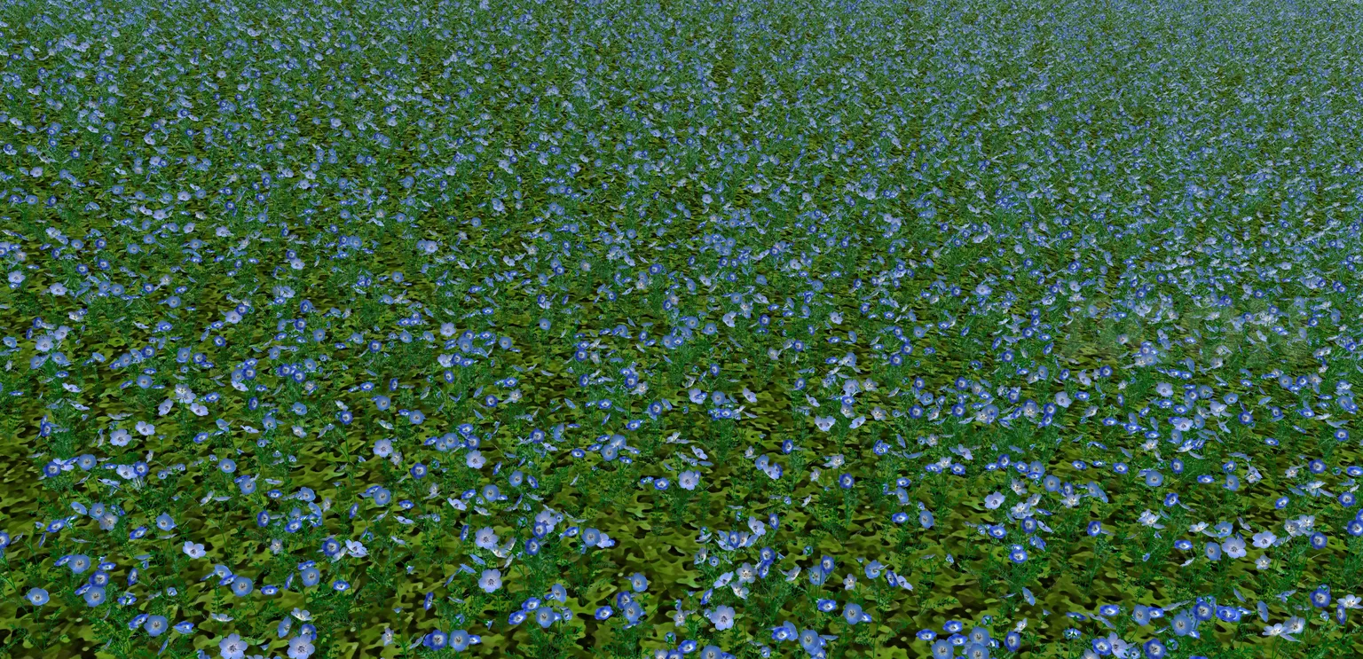 花と木シリーズ - ネモフィラ花園(Nemophila flower garden)