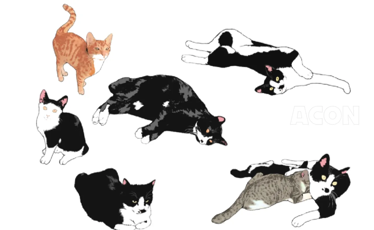 正面からちらっと見た猫のエクストラ25種