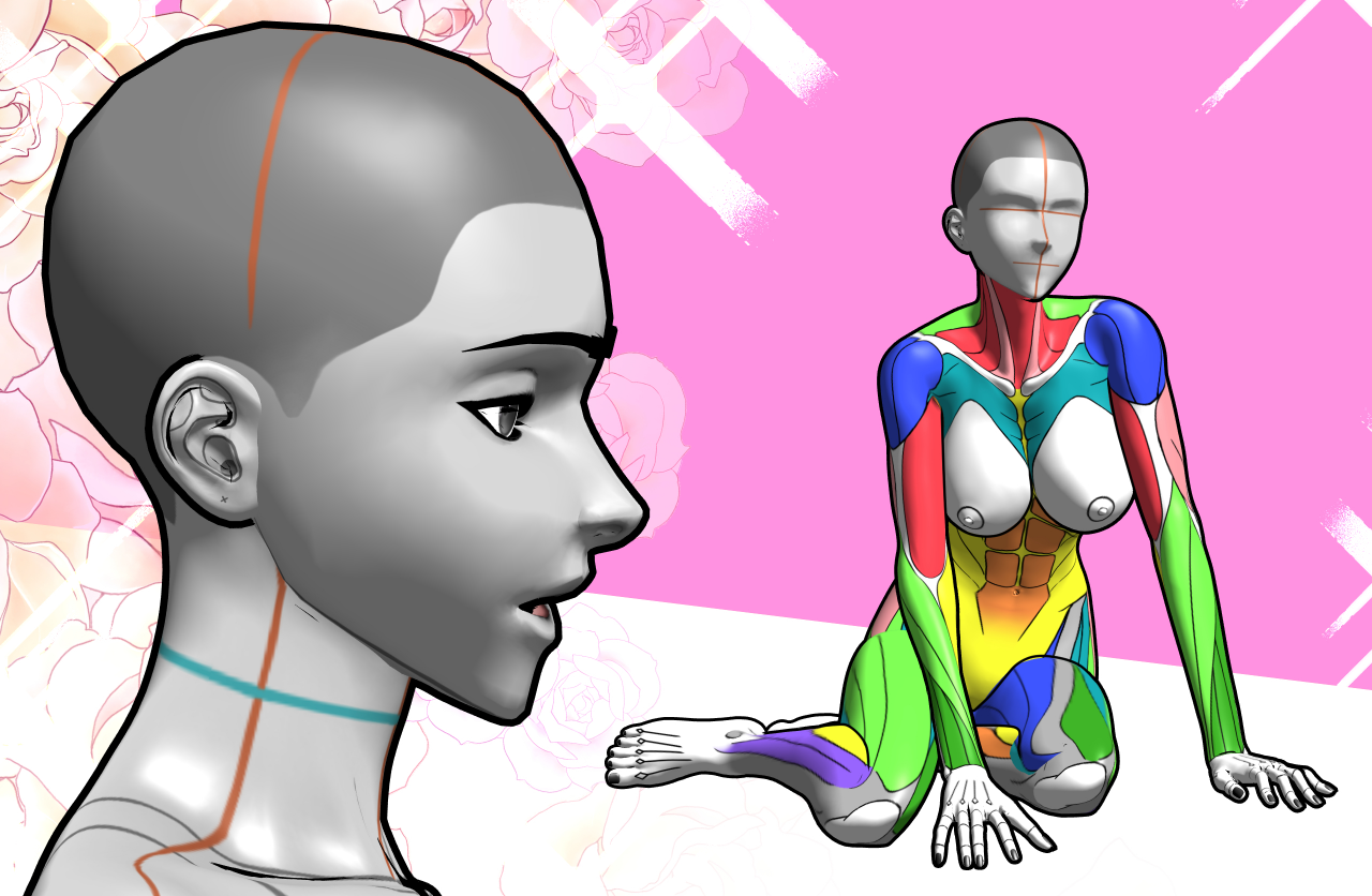 Female model hourglass 2025 3d